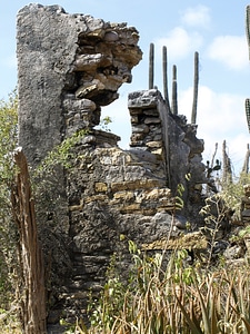 Curacao caribbean abc islands photo