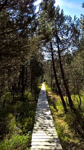 Direction boardwalk nature reserve