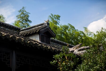 House wooden roof photo