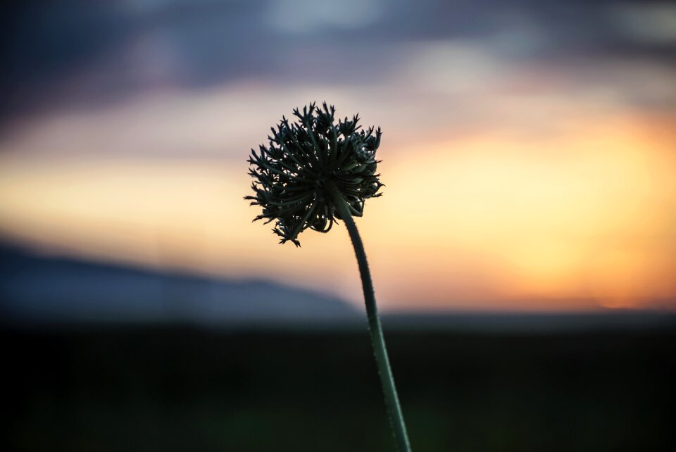 Landscape nature depth