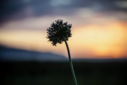Landscape nature depth