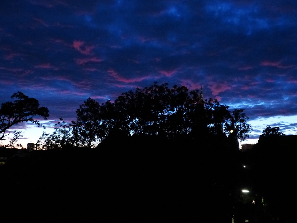 Dark shining reddish