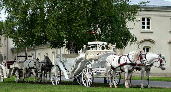 Poland tourism tour