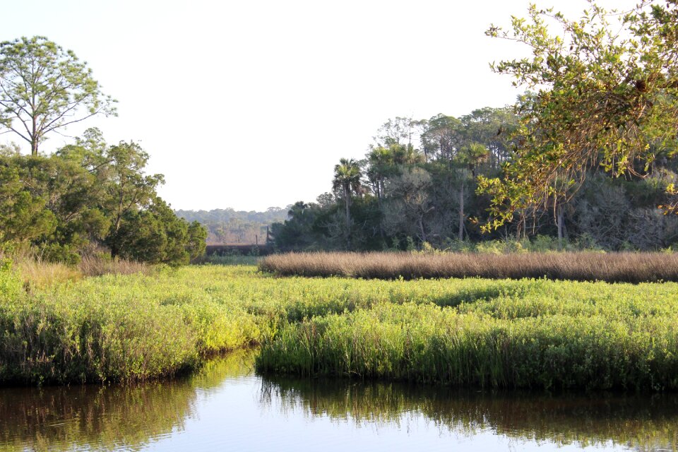 Water aquatic preserve