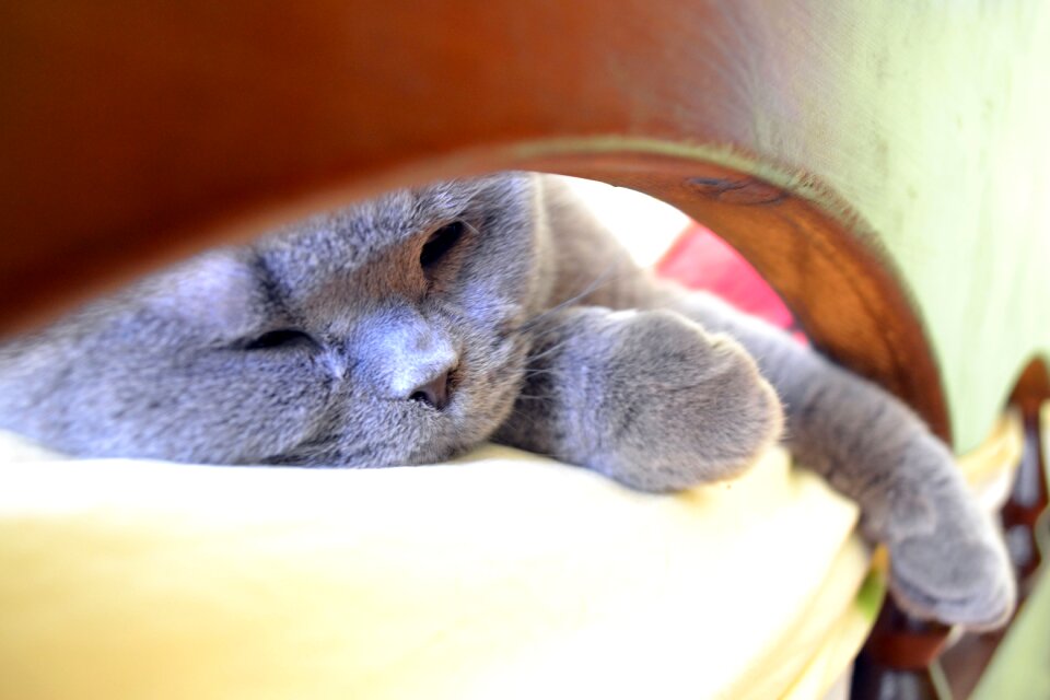 Lying in bed relaxation drowsiness