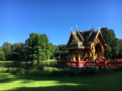 Hagenbeck plant chinese home
