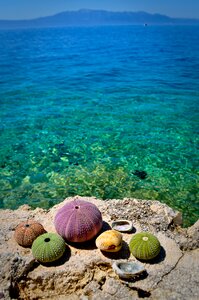 Water summer croatia photo