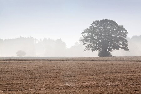 Landscape forest agriculture