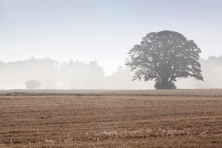 Landscape forest agriculture photo