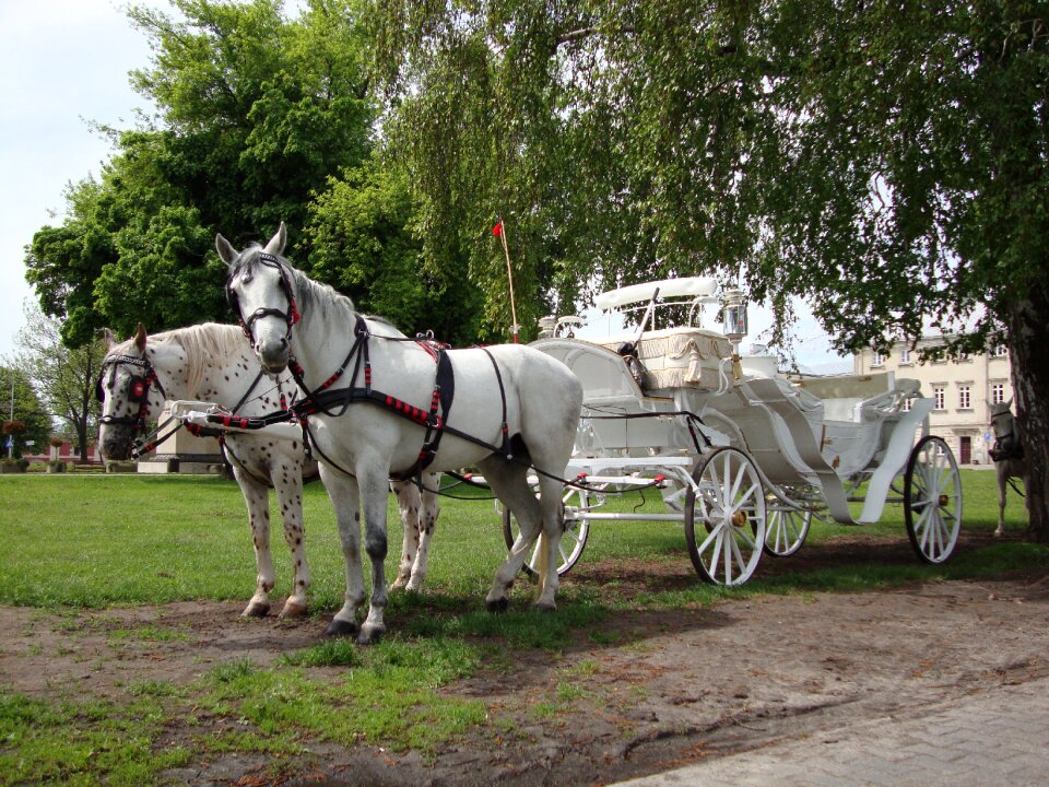 Chaise tourism tour