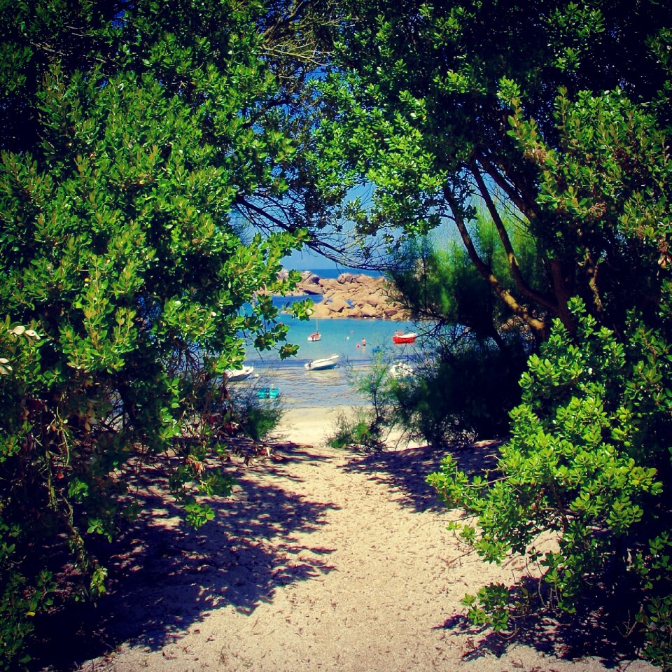 Holidays beach sea