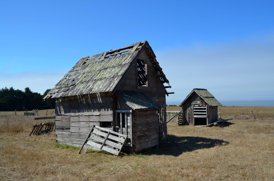 Poultry agriculture barn