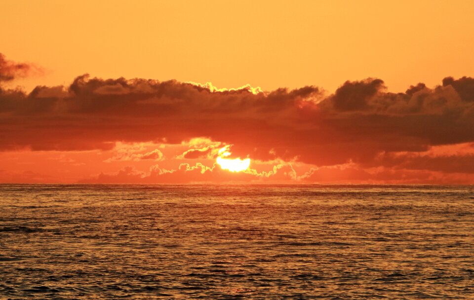 Ocean hawaii beach sea
