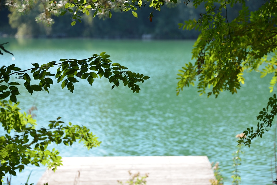 Lake nature landscape