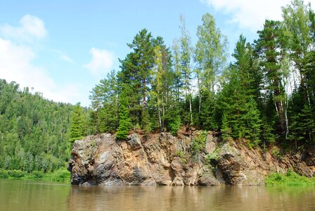 Forest nature river