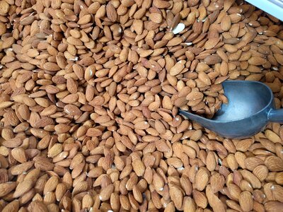 Healthy nutrition nut