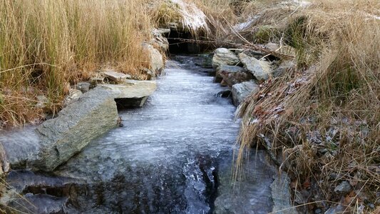 Frozen winter ice