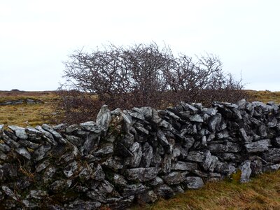 Ireland brown grey