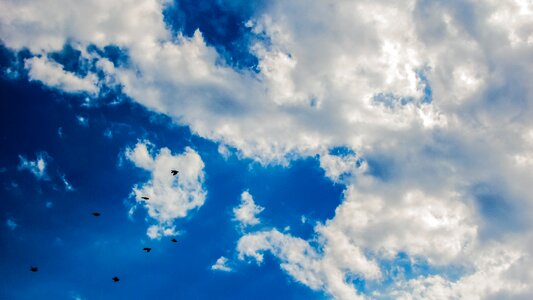 Flock blue sky clouds autumn
