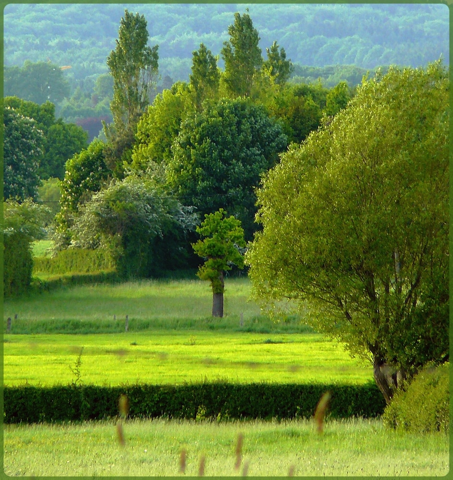 Landscape nature park