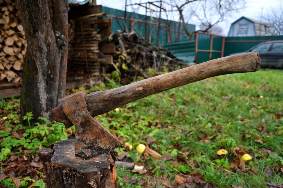Firewood closeup yard