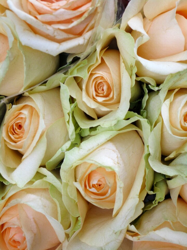 Bouquet romantic ceremony