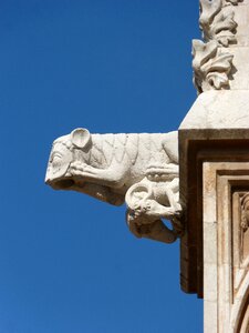 Tarragona cathedral tarragona sky