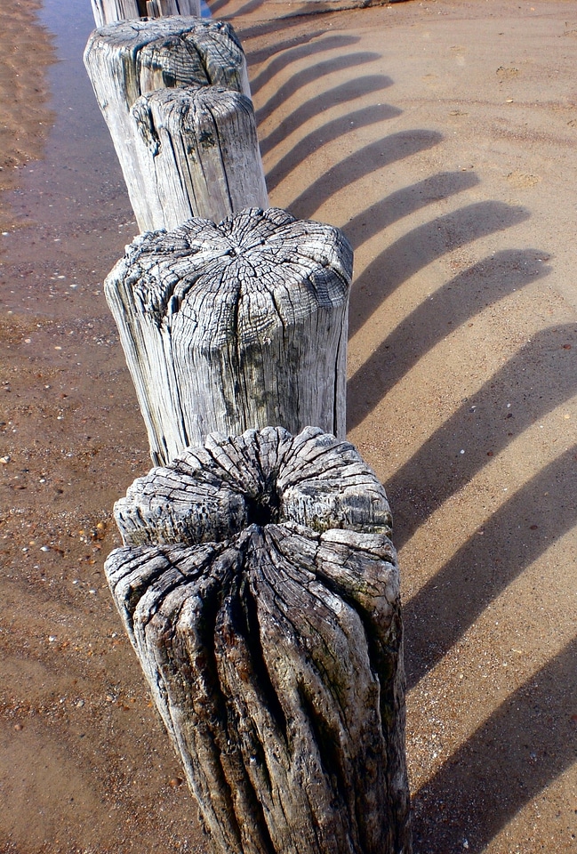 Beach north sea maritime