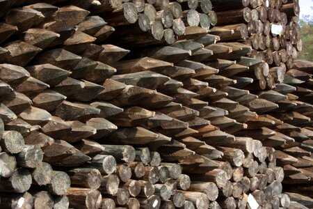 Timber pointed timber industry photo