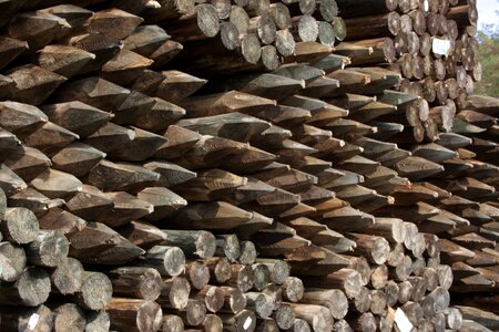 Timber pointed timber industry