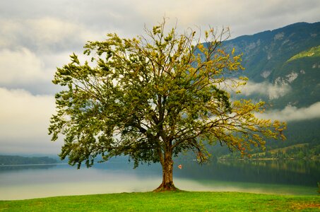 Green outdoor environment