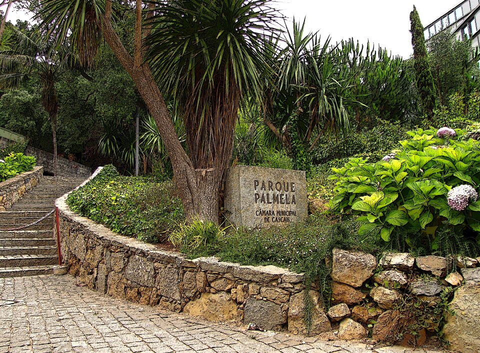 Cascais beautiful view vacation