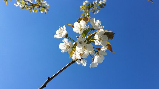 Our may the nature of the