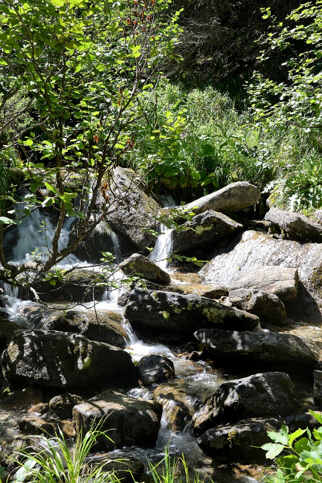 Shadow natural stream creek