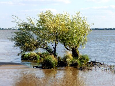 Ebb nature water