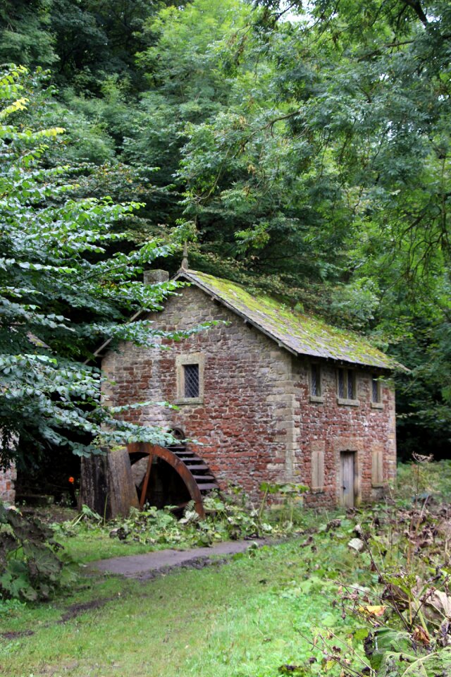Water old mill