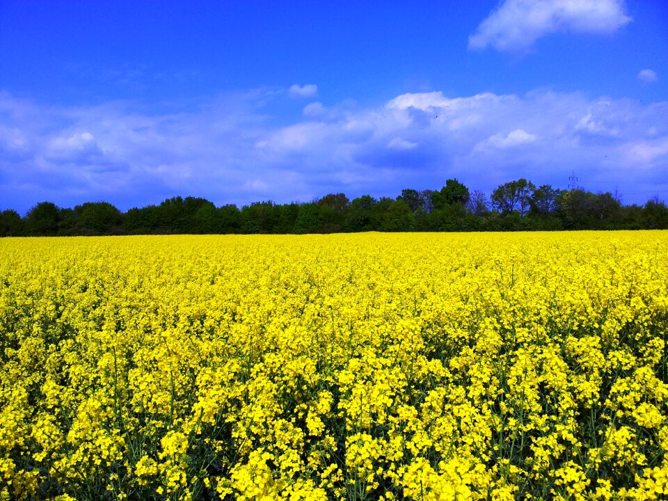 Clouds yellow spring