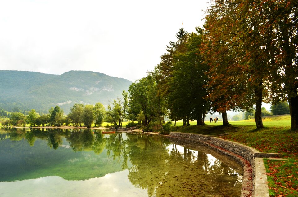 Green autumn forest