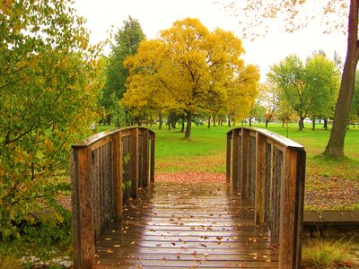 Bridge fall path