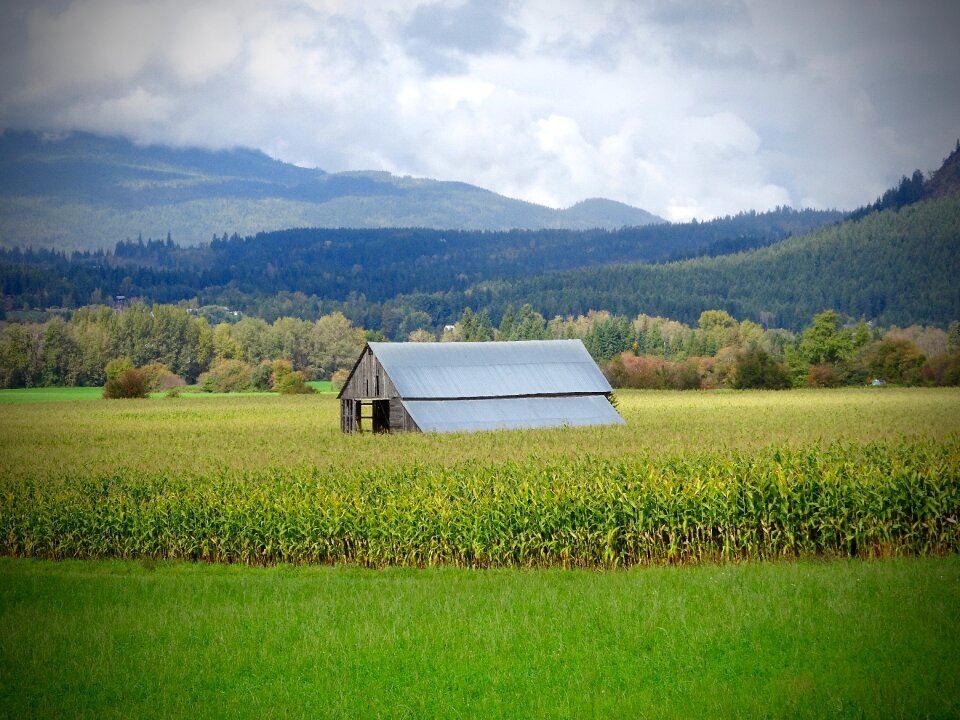Agriculture building farmland