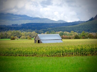 Agriculture building farmland photo