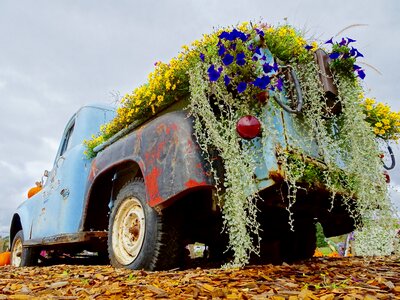 Display decoration