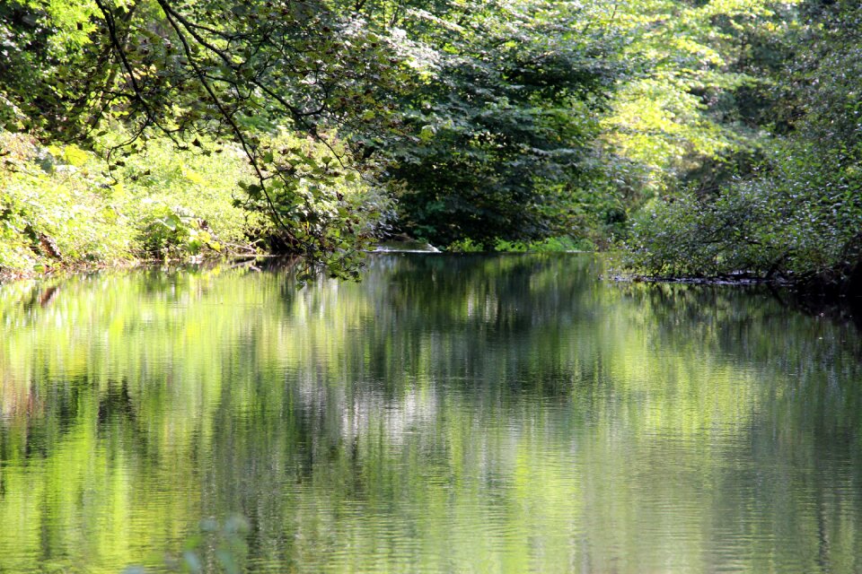 Water stream river