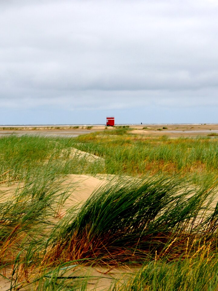 North sea sea grass mood