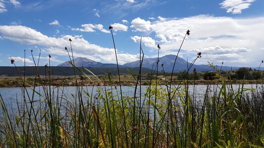 Daigre park dam water