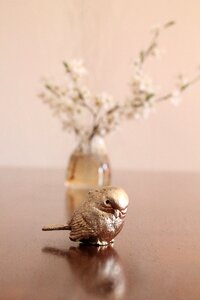 Still life spring cherry blossom branches