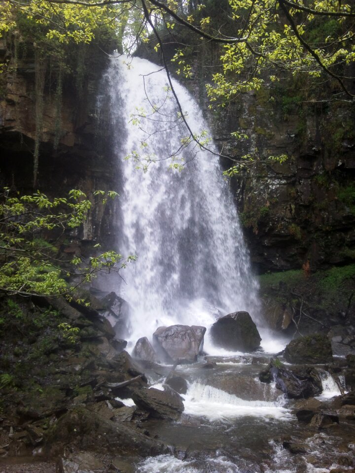 Nature conservation melincourt falls