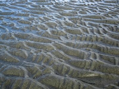 Sea ebb sand