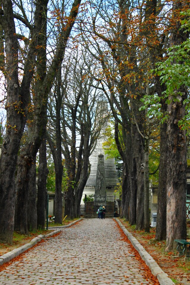 Paris cemetery trees