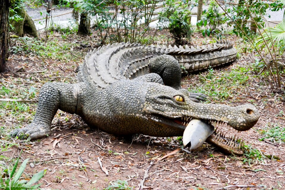 Dinosaur robot jurassic
